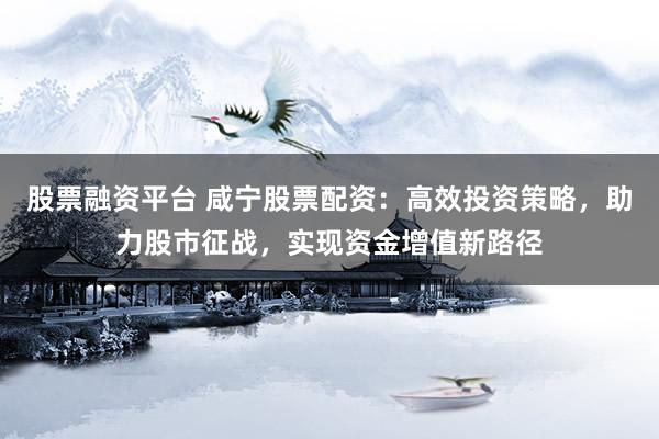 股票融资平台 咸宁股票配资：高效投资策略，助力股市征战，实现资金增值新路径