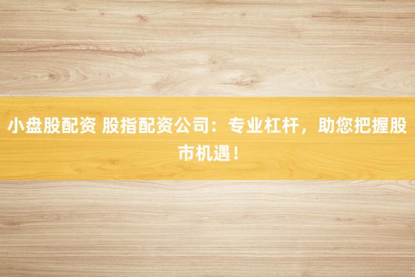 小盘股配资 股指配资公司：专业杠杆，助您把握股市机遇！