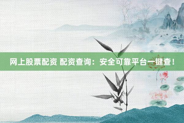 网上股票配资 配资查询：安全可靠平台一键查！