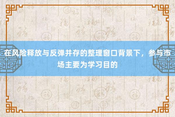 在风险释放与反弹并存的整理窗口背景下，参与市场主要为学习目的