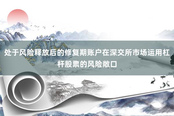 处于风险释放后的修复期账户在深交所市场运用杠杆股票的风险敞口