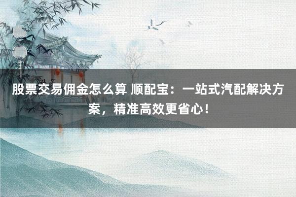 股票交易佣金怎么算 顺配宝：一站式汽配解决方案，精准高效更省心！