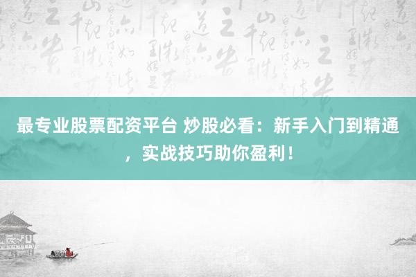 最专业股票配资平台 炒股必看：新手入门到精通，实战技巧助你盈利！